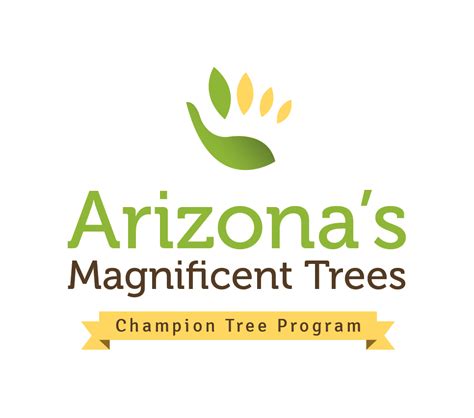 Arizonas Magnificent Trees Department Of Forestry And Fire Management