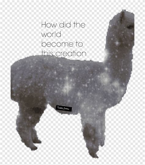 Jumping Llama Alpaca Android Fauna Snout Png Pngegg