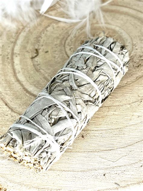 Sauge Blanche Les Bienfaits Des Pierres Et Des Mineraux Toulouse