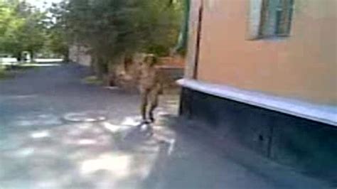 robbed and released nude on street Загадочный случай в российском городке Xrares
