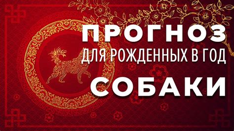 Прогноз фен шуй гороскоп 2020 Собака китайский календарь - YouTube