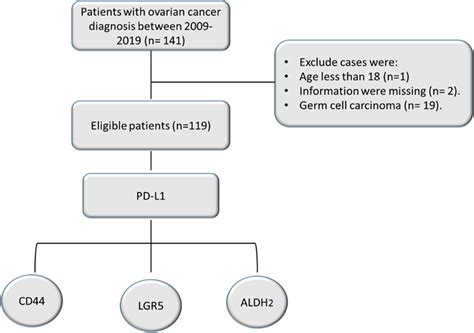 A flow chart diagram shows the ovarian cancer selection and the ...