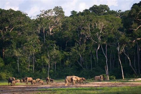 Sommet des trois bassins à Brazzaville aller plus loin pour