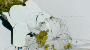 Watch Cecile Music Music Music Video Pov Porn SpankBang