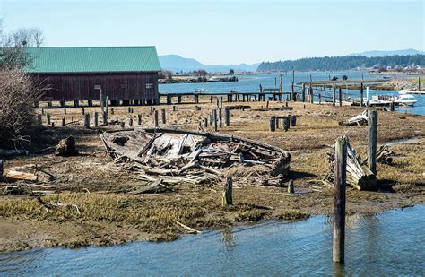 Samish River Boat Wreck Photograph By Tom Cochran