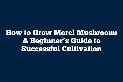 How To Grow Morel Mushroom A Beginners Guide To Successful