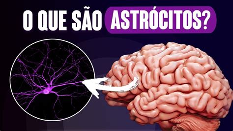 ENTENDA PARA QUE SERVEM OS ASTRÓCITOS YouTube