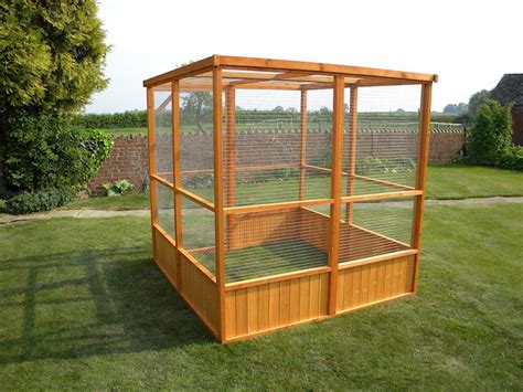 Easy Diy Bird Aviary Design Talk
