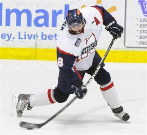 ECHL Playoffs: Kalamazoo Wings need to regain focus, discipline - mlive.com