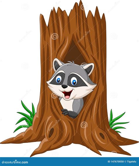 Cartoon Raccoon Sitting In Hollow Of A Tree Stock Vector Illustration