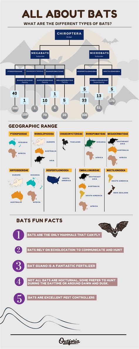 Bat Species Chart