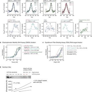 Biophysical and biochemical characterization of the constructs a ...