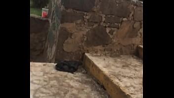 Chacal Meando Xvideos