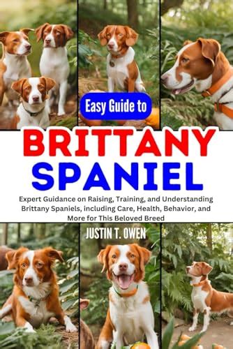 EASY GUIDE TO BRITTANY SPANIEL: Expert Guidance on Raising, Training ...