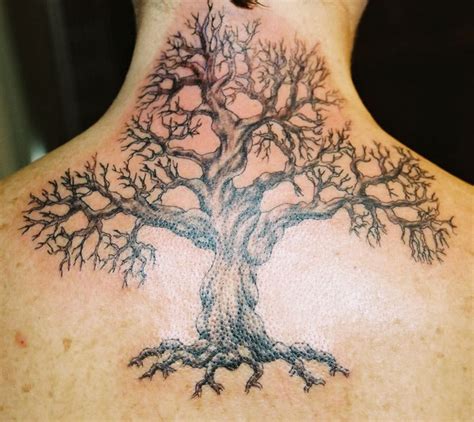 Small Acacia Tree Tattoo : Download acacia tree stock vectors.