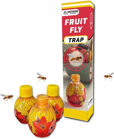 Entoend Fruit Fly Trap 3 Traps 2 Month Supply Highly Effective Premium Fruit Fly Killer