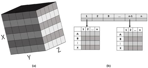 general graphic design   proposed management system