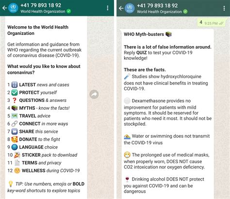 Create a Strong WhatsApp Marketing Campaign for Your Brand | SendPulse Blog