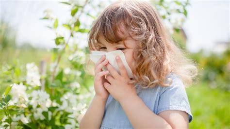 Allergie Al Polline Inizia La Stagione