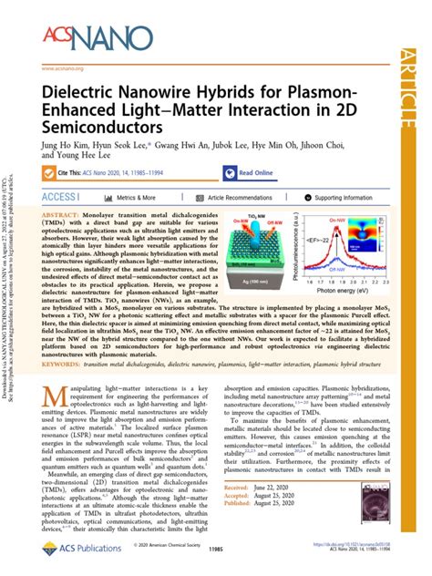 Dielectric Nanowire Hybrids For Plasmon Enhanced Light Matter