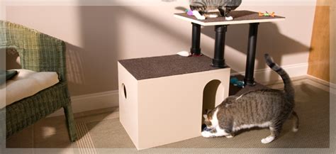 Diy Cat Playhouse