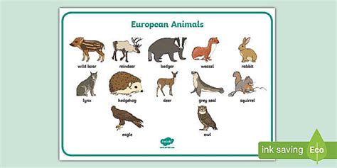 European Animals Word Mat (professor feito) - Twinkl