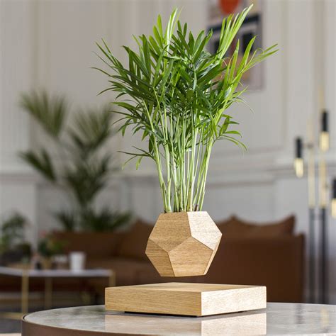 Горшок Levitera левитирующий, светлый в интернет-шоуруме VALLES.TOP