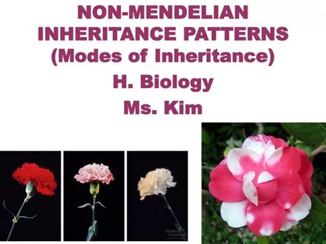 Ppt Non Mendelian Inheritance Patterns Modes Of Inheritance H