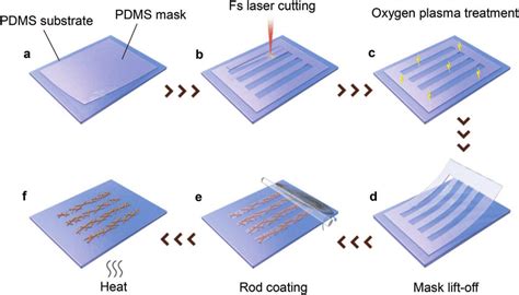 Schematic Diagram Of The Fabrication Process A Original Pdms Mask Is