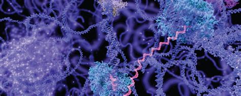 ‘A Grand Plan' for achieving breakthroughs and improving health – Van ...