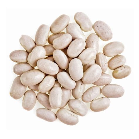 Organic Great Northern Beans Buy in Bulk from Food to Live