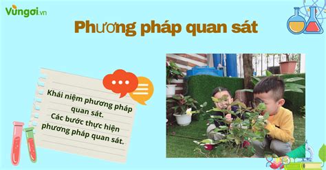 Lý thuyết phương pháp quan sát sinh 10