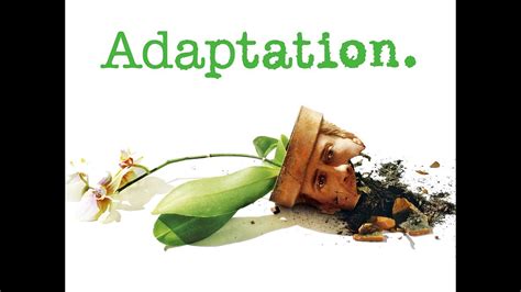 McJeffrey 500 491 Lily Moon Chinese Porn Star Adaptation YouTube