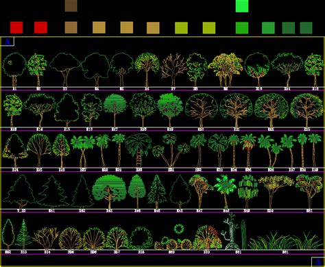 Planos De Bloques Arboles En Dwg Autocad Arboles En Alzado Arboles Y Hot Sex Picture