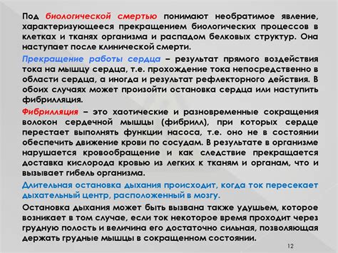 Электробезопасность в электроэнергетике и электротехнике. (Лекция 1 ...