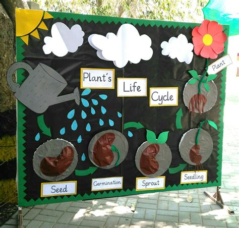 Seed Germination Activity For Kids Easy Lesson On Life Cycle Of Plant ...