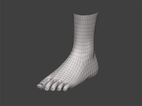 3d Model Realistic Female Foot Vr Ar Low Poly Cgtrader