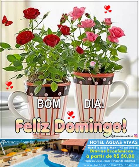 Bom Dia Feliz Domingo Mensagens De Domingo Br