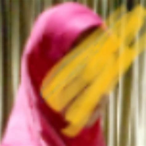 Tudung Blowjob Blowjob Porn XHamster