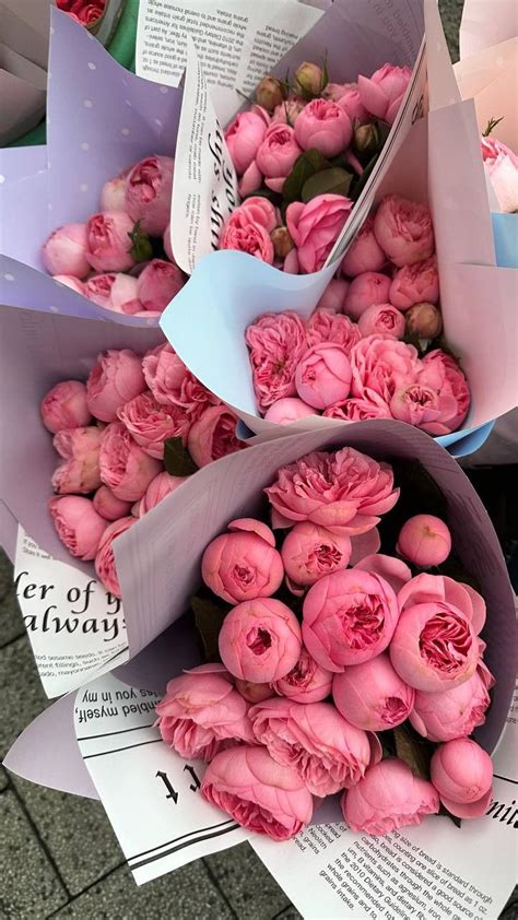 Pin by Снежана Тарабурка on Пионы 💮 | Luxury flowers, Boquette flowers ...