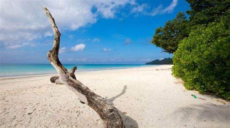 Radhanagar Beach in Andaman with its turquoise blue waters and powdery ...