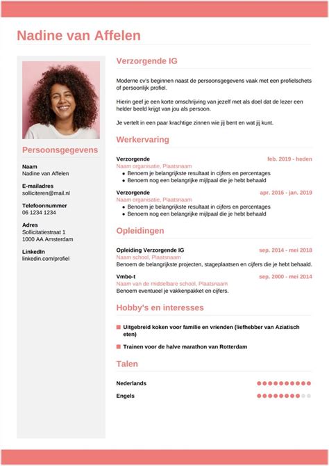 Een Perfect Cv Voorbeeld Voor Een Verzorgende IG Professioneel Cv