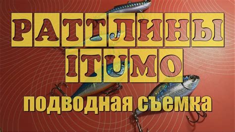 🐟 Для ловли хищника со льда ITUMO Clacker & ITUMO Gamauji - YouTube