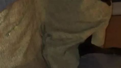 Ribbed Tights Sissy Free Shemale Sissys HD Porn Video D8 XHamster