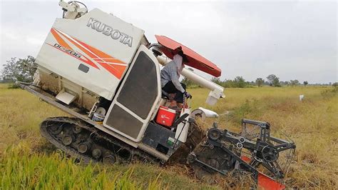 World Most Amazing Modern Machines Harvesting Rice Modern Agriculture