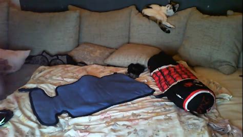 Hot Cambabe Playing Around On Webcam