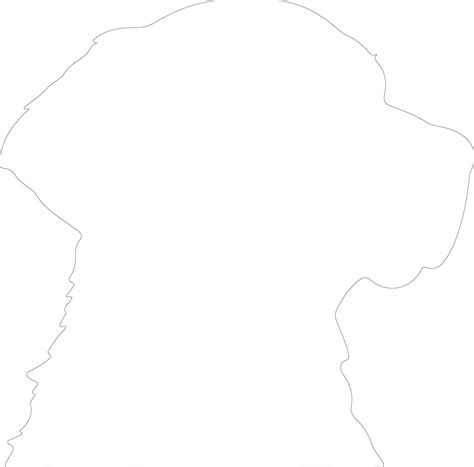 Chesapeake Bay Retriever outline silhouette 40541701 Vector Art at Vecteezy