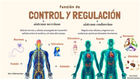 función control y regulación