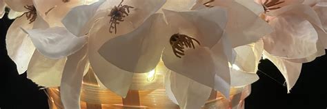 Сладкий Презент | Добро пожаловать в нашу группу ВКонтакте! 2025 ...