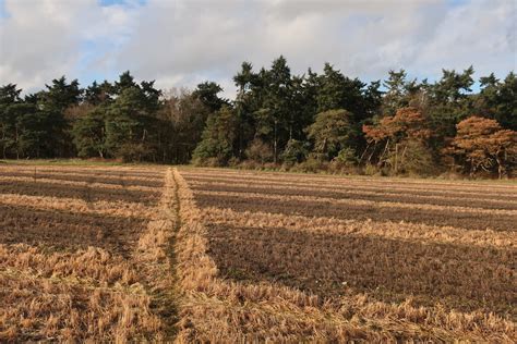 Footpath To Ling Hills Hugh Venables Cc By Sa Geograph Britain